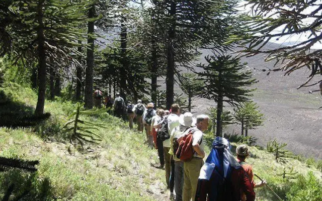 Valle De Corralco