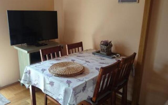 Apartament Leśmiana