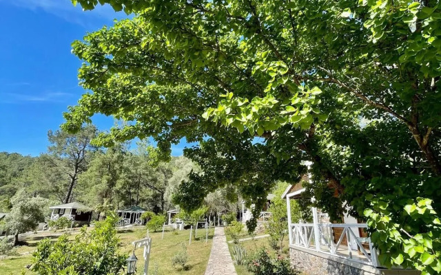 Olympos Angels Garden