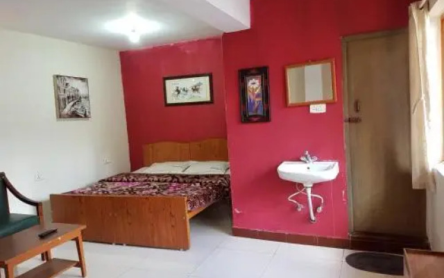 DNS Tourist home