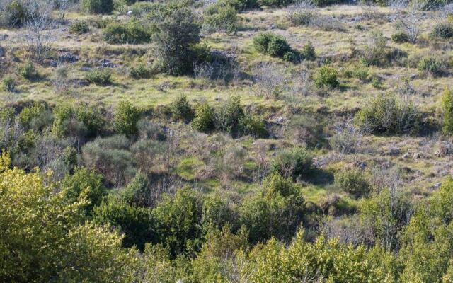 Nadija Studio Apartmani