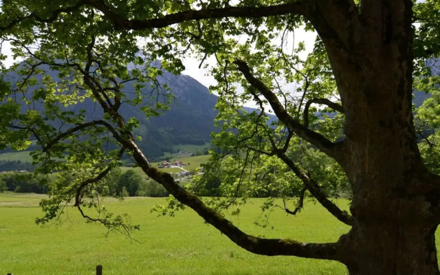 Traumhafte Wohnung im Berchtesgadener Land