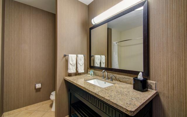 Holiday Inn Arlington NE-Rangers Ballpark by IHG