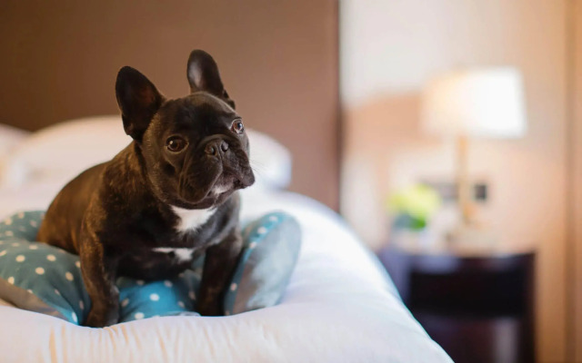 Hyatt Regency Chongming