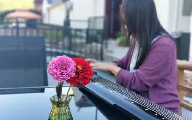 beijingqinglingxiaozhu