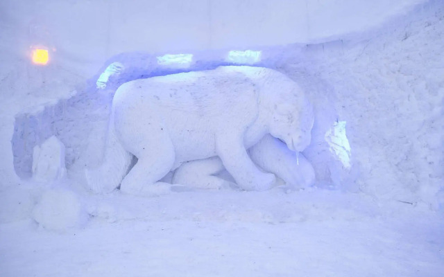 Sorrisniva Igloo Hotel