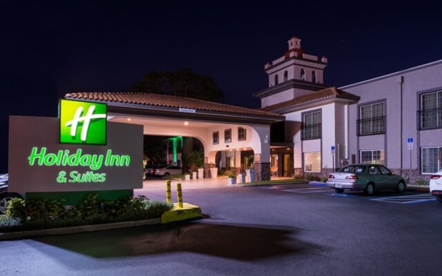 Holiday Inn Hotel And Suites Tampa N Busch Gardens Area
