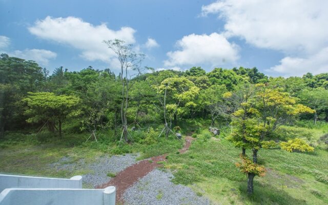 Saryuni Healing Pension