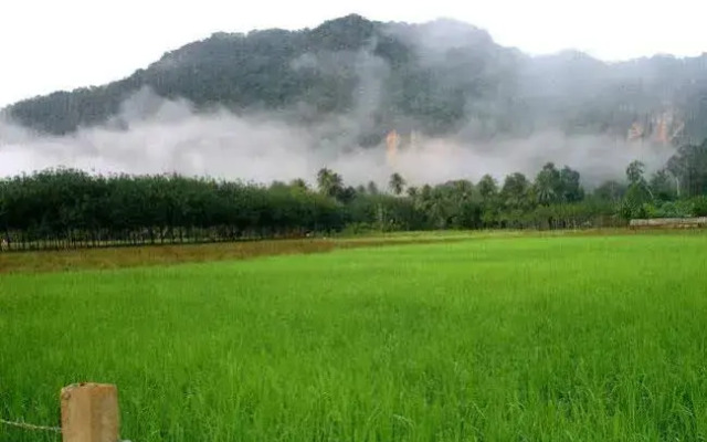 Naris Phuview Resort