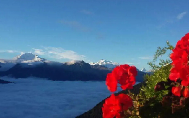 Appartementhaus Zurschmitten 15