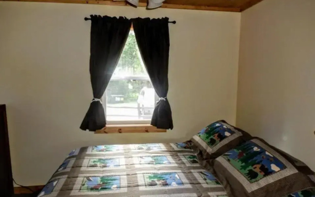 Knotty Pine- White Pine