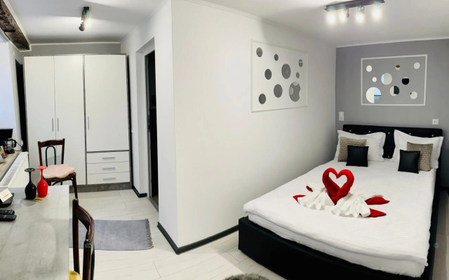 Studio Sac Voyage Ocnei