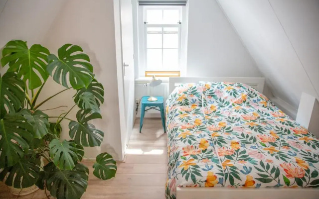 Pension B&B Pluk