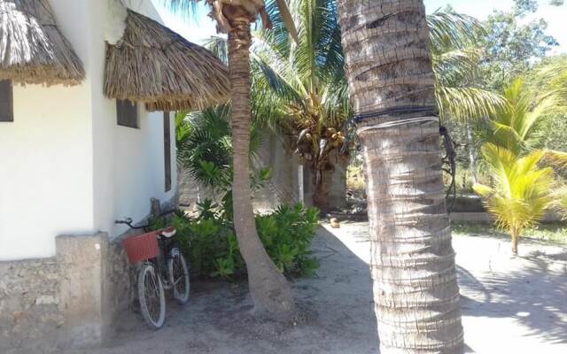 Boox  Casa