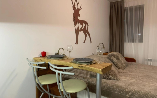 Bansko Ski To Door Studio De Luxe