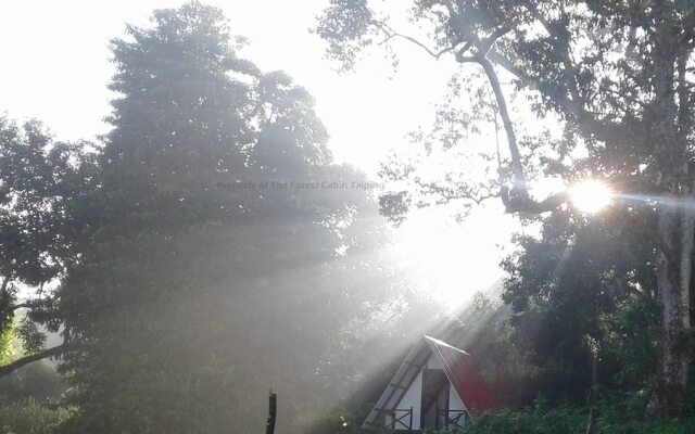 The Forest Cabin Taiping