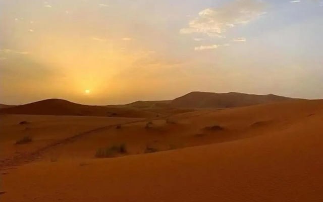 Camp Sahara Majestic