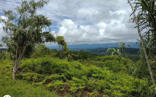 Mirador Osa