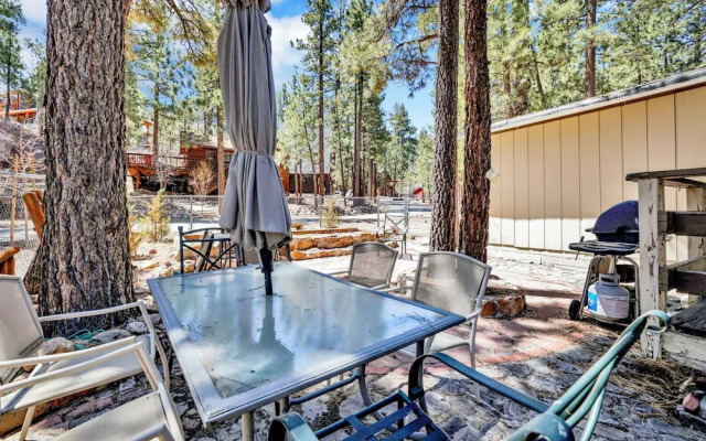 Reality Escape #2466