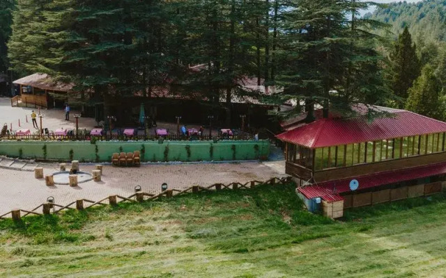 Başkonuş Yaylası Orman Evleri