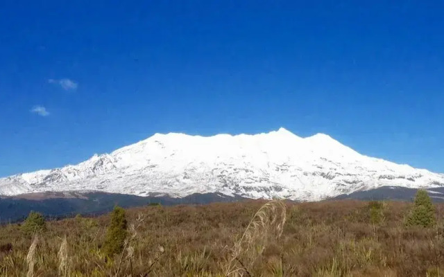 StDavids Ruapehu