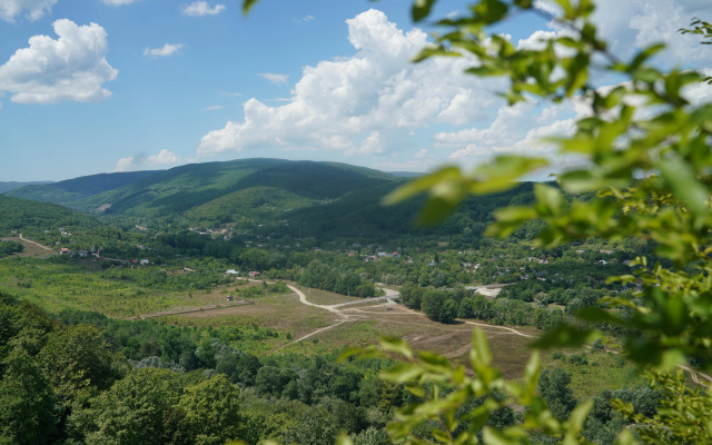 Sunny slope