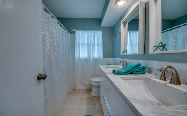 All About The Dolphins - Roelens Vacations