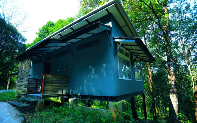 Wayanad Wild Rainforest lodge by CGH Earth