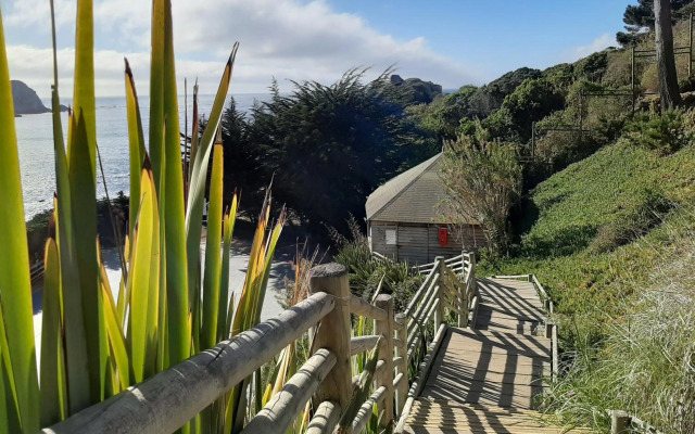 Pinares del Canelillo