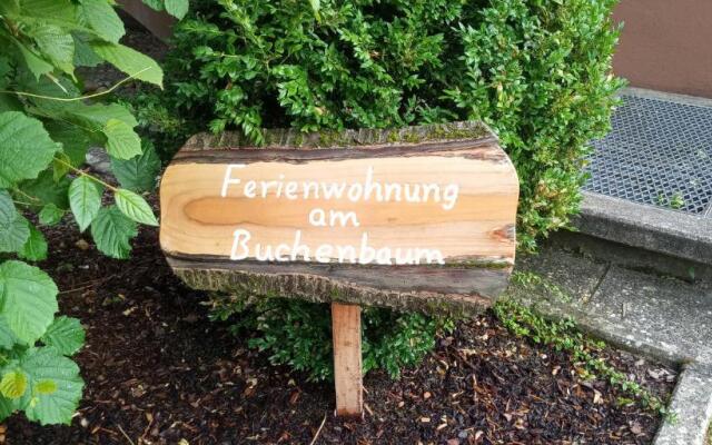 Ferienwohnung am Buchenbaum