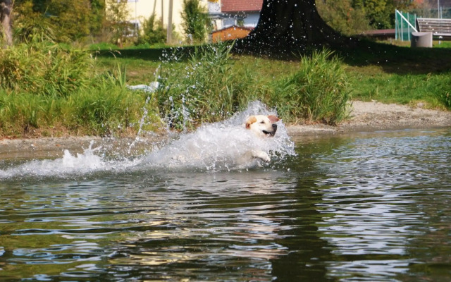 Appartements Bleistattblick