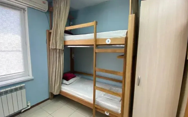 Кот Базилио