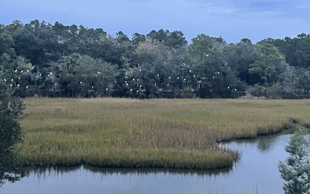 Blue Heron Retreat