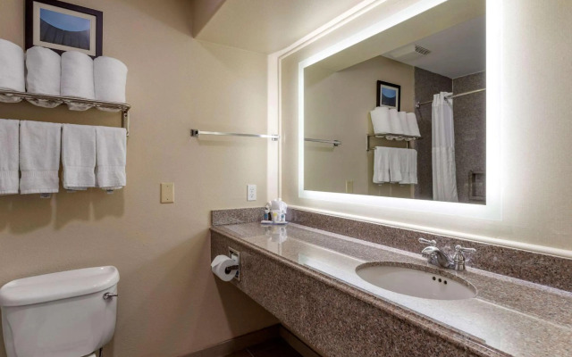 Comfort Suites Houston near Medical Center- NRG Stadium
