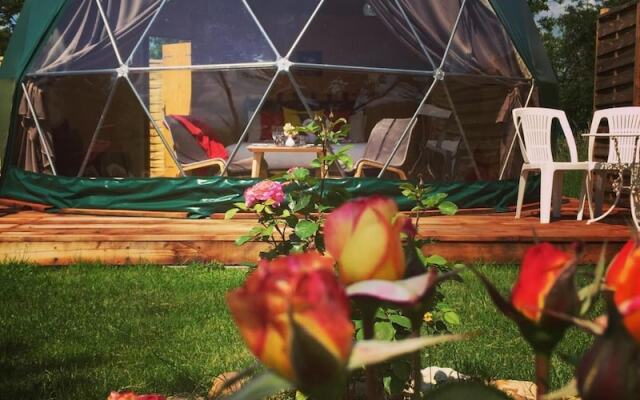 Tui's Nest Glamping