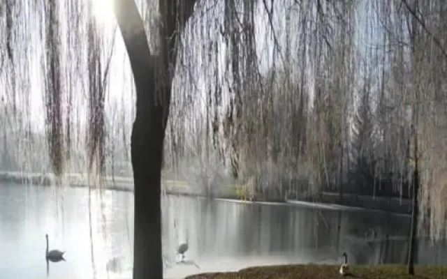 Camping de l'Aigrette