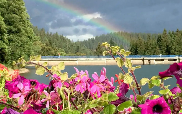 Kickelhahn Comfortable Holiday Residence