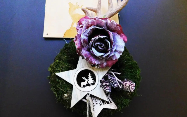 Wonder Deer Lux Apt Opera