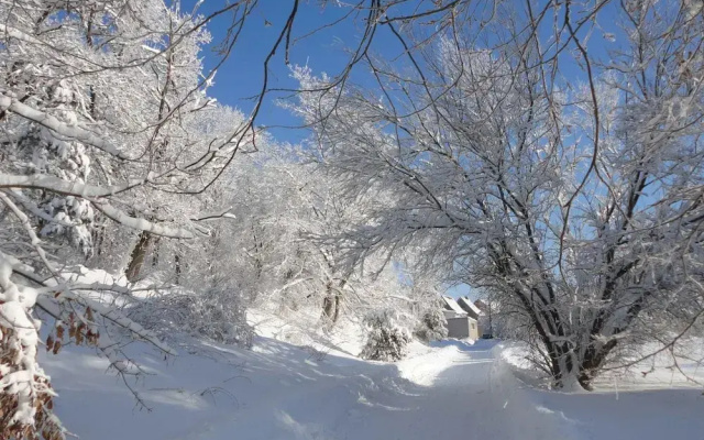 Hill View Holiday Home in Dankerode near Lake & Hiking