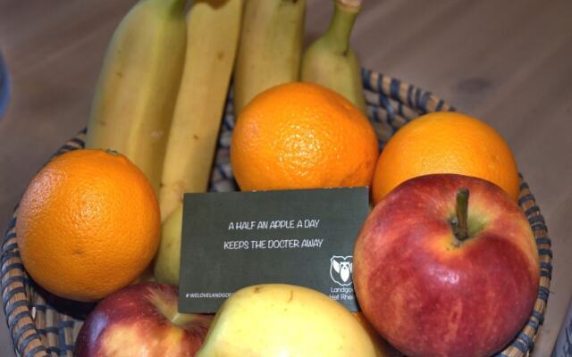 Exotic Farmhouse at Overijssel With a Trampoline