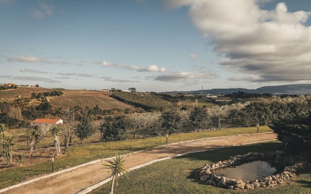 Vale Pisco Villa De Sonho