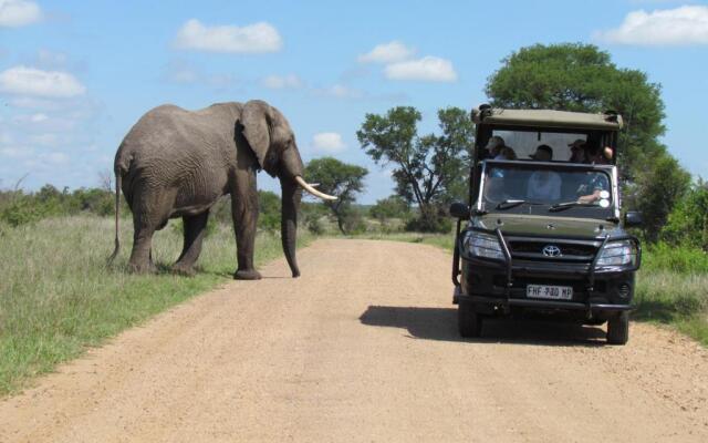 Nkambeni Safari Camp