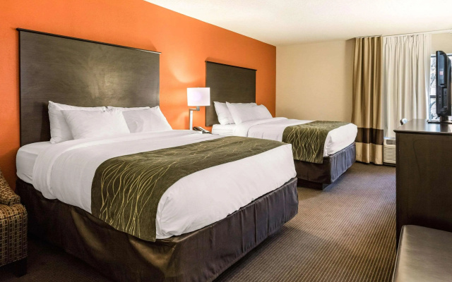 Comfort Inn Wings Stadium