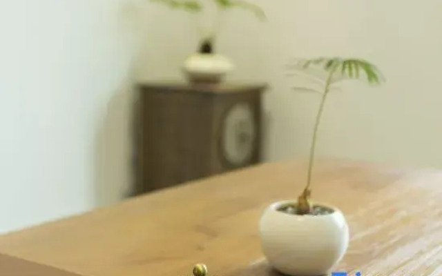 Xiamen Yuehaishu Hotel (Huangcuo Beach Branch on Huandao Road)