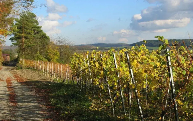 Weinstube Schwalbennest