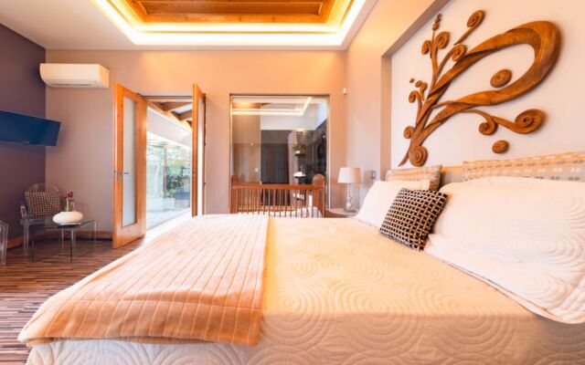 Conceição (NZE221)