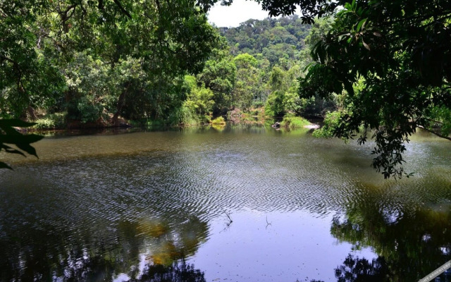 River Near Coorg