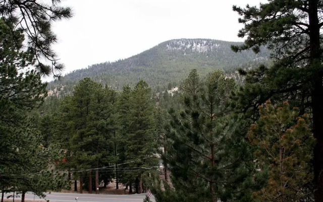 Timber Creek Chalets: 11