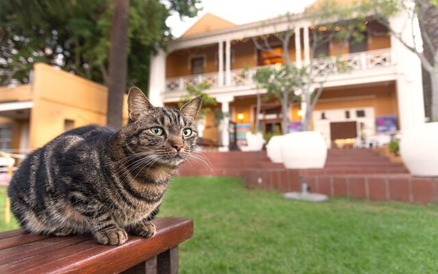 Ashanti Lodge Backpackers Gardens