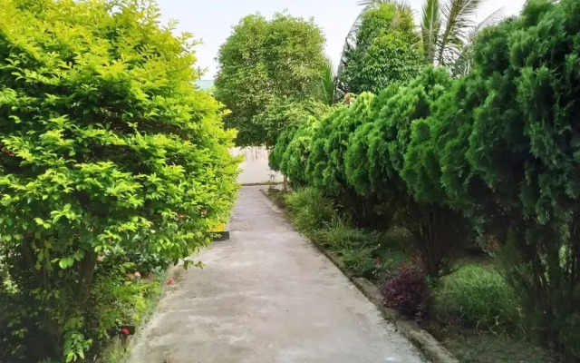 Green Ashiyana Palace